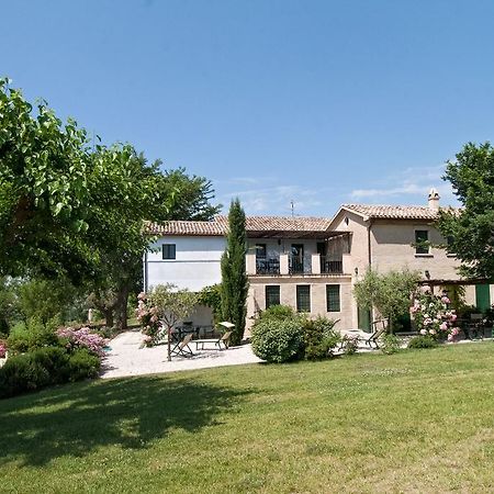 Morro dʼAlba Vigna Sant' Amico Country House מראה חיצוני תמונה