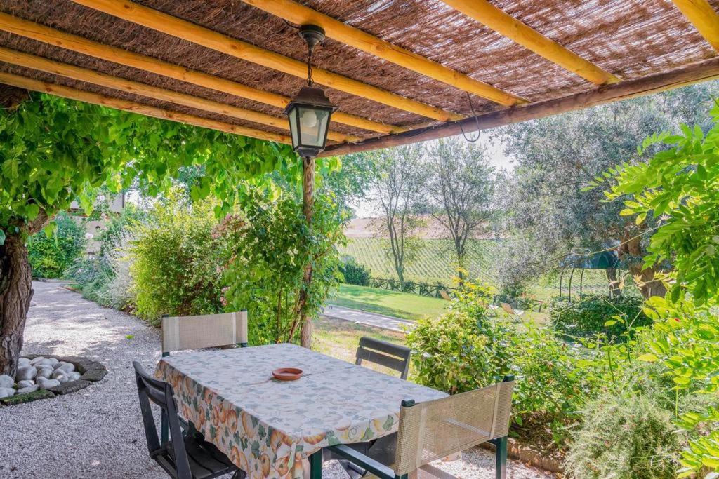 Morro dʼAlba Vigna Sant' Amico Country House מראה חיצוני תמונה