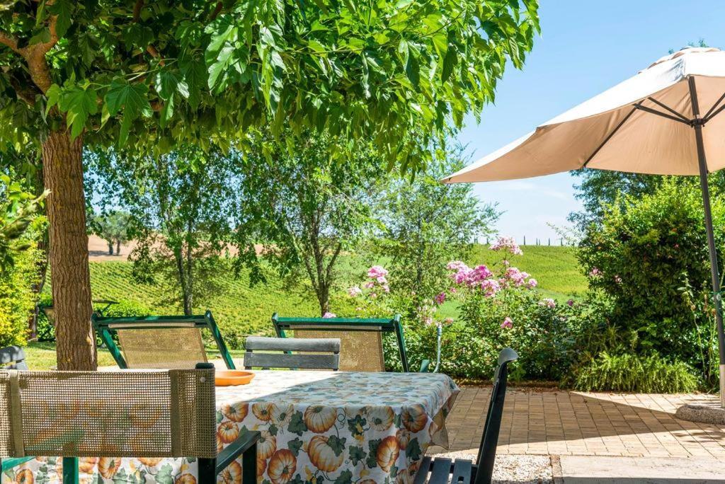 Morro dʼAlba Vigna Sant' Amico Country House מראה חיצוני תמונה