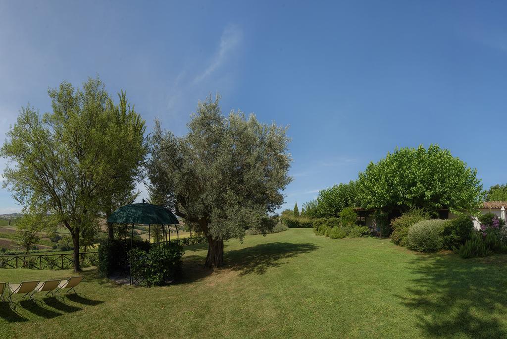 Morro dʼAlba Vigna Sant' Amico Country House מראה חיצוני תמונה
