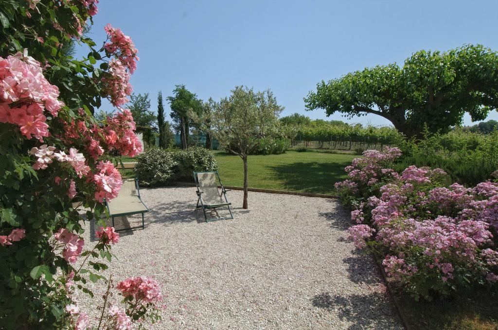 Morro dʼAlba Vigna Sant' Amico Country House מראה חיצוני תמונה