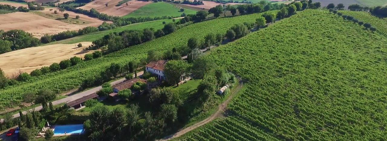 Morro dʼAlba Vigna Sant' Amico Country House מראה חיצוני תמונה